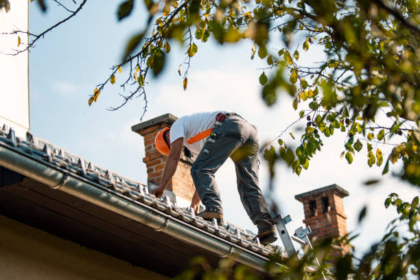 Best Roof Leak Repair  in Red Lake, MN