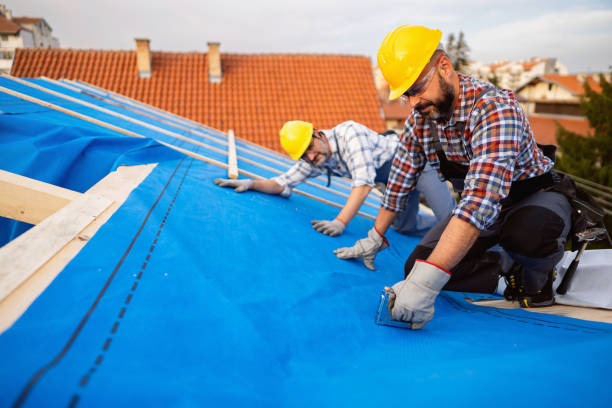 Best Roof Insulation Installation  in Red Lake, MN